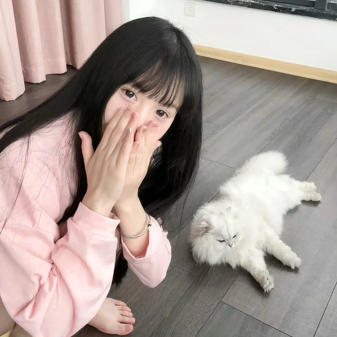猫狗大战3:爪爪集结!